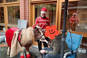 Person sitzt auf Stuhl unter großem Sonnenschirm und füttert ein Pony mit Weihnachtsmütze und rotem Deckenüberwurf vor einem Gebäude mit großen Fenstern