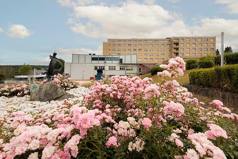 Blühende rosa Rosen vor einem mehrstöckigen Krankenhausgebäude unter bewölktem Himmel