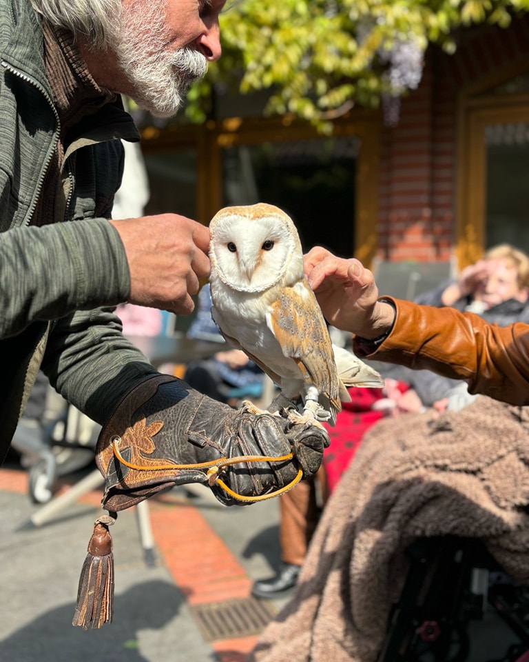 Schleiereule sitzt auf behandschuhter Hand, eine weitere Hand streichelt den Vogel, im Hintergrund unscharfe Personen und Gebäude.